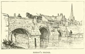 Bishop
