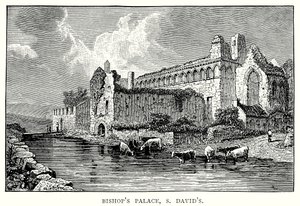 Bishop