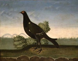 Black Grouse by English School
