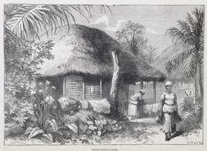 Black Habitations, from 