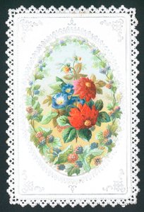 Blackberries and Flowers by English School