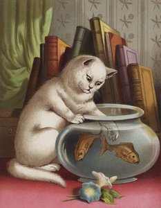 Blanchie and the Goldfish