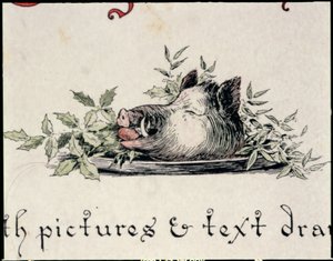 Boar