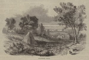 Bosworth Field by English School
