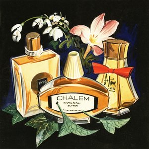 Bottles of Perfume