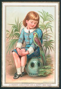 Boy sitting with exotic bird on arm