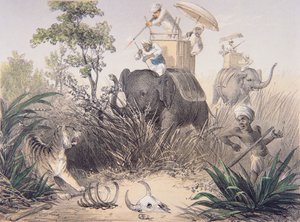 British Officers tiger shooting in India
