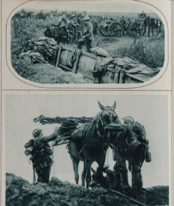 British Gunners with Packhorses, Flanders, August 1917