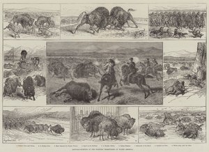 Buffalo-Hunting in the Western Territories of North America by English School