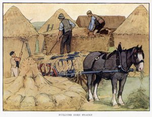 Building Corn Stacks by English School