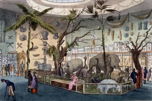 Bullocks Museum, 22 Piccadilly, London, from Ackermann