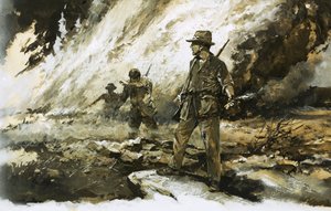 Bush Fire