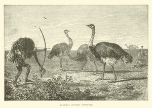 Bushman Hunting Ostriches by English School