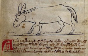 Ass, from Bestiary