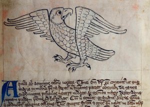 Eagle, from Bestiary