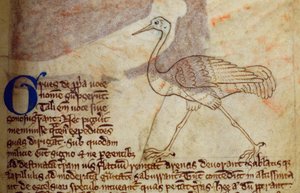 Crane, from Bestiary