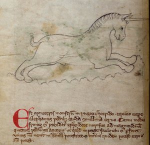 Monoceros, from Bestiary by English School