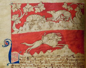 Wolf, from Bestiary