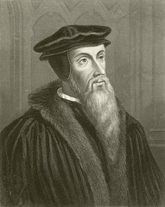 Calvin by English School