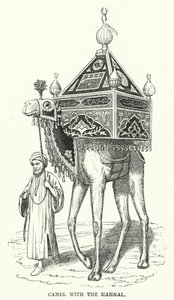 Camel with the Mahmal (engraving)