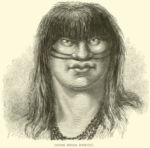 Canibo Indian, female by English School