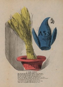 Cap of folly and birch in a pickle bowl