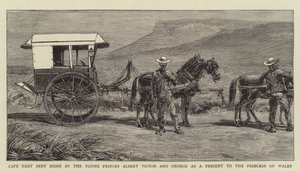 Cape Cart sent Home by the Young Princes Albert Victor and George as a Present to the Princess of Wales by English School