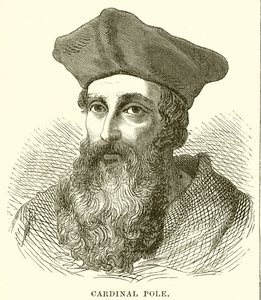 Cardinal Pole by English School