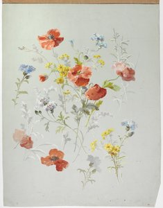 Carpet Design