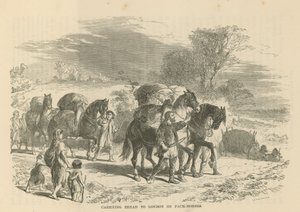 Carrying bread to London on pack horses