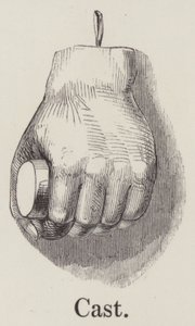 Cast