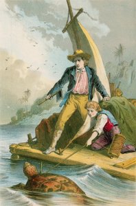Catching a Turtle