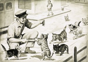 Cats Come to Greet the Cat