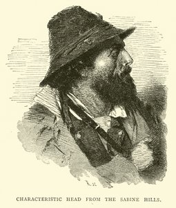 Characteristic head from the Sabine Hills by English School