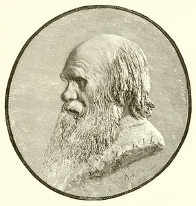 Charles Darwin by English School