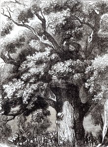 Charles II (1630-85) Hidden in the Oak Tree, 14th October 1651 by English School