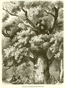 Charles II Hidden in the Oak Tree by English School