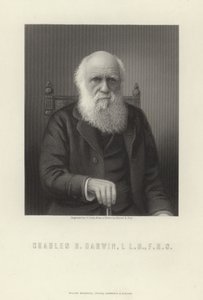 Charles R. Darwin by English School