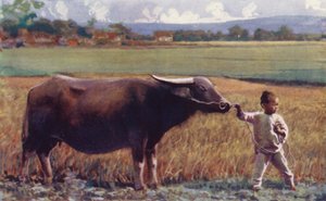 Children of China: Child Leading Buffalo