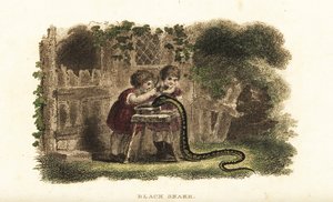 Children using spoons to hit the head of a black snake that is greedily drinking from a saucer of milk