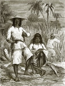 Chinese Coolies in Havana by English School