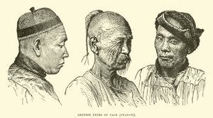 Chinese Types of Face, Swatow by English School