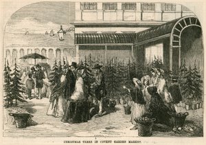 Christmas trees in Covent Garden Market, London by English School