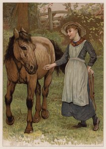 Clever Dobbin by English School