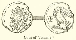 Coin of Venusia by English School