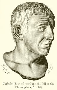 Corbulo by English School