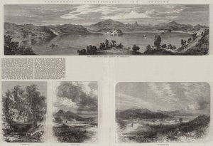 Coromandel Gold-Diggings, New Zealand by English School