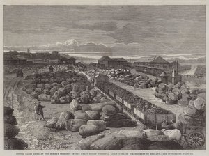 Cotton Bales lying at the Bombay Terminus of the Great Indian Peninsula Railway ready for Shipment to England by English School