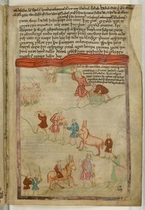 Genesis. A story of a journey, from the 