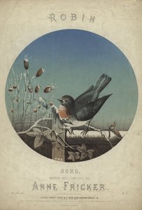 Cover of Robin by English School
